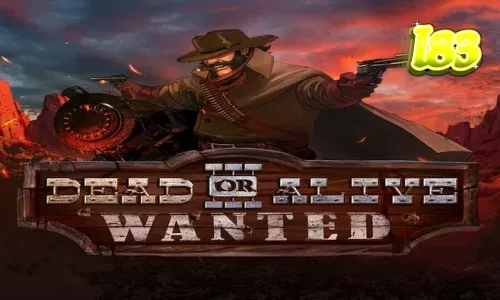 Dead or Alive 3 Wanted slot game interface